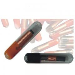 étiquette en verre à puce électronique pour animaux