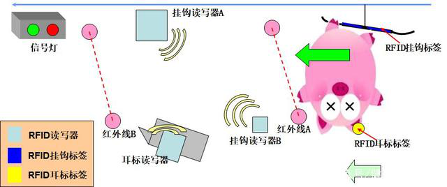  En profondeur Analyse: L'application de RFID Lecteurs dans l'abattage de porc